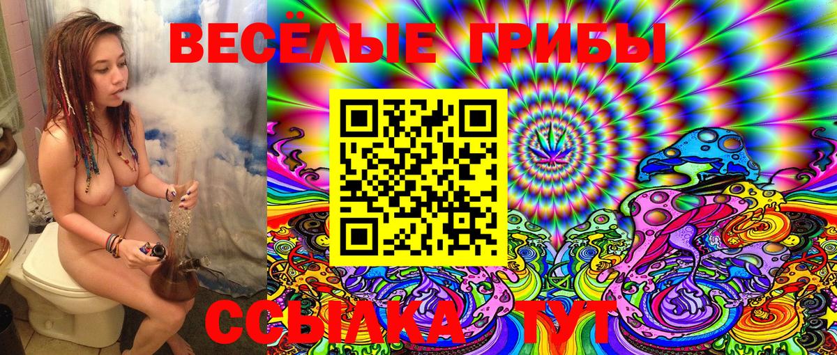 Магадан  Галлюциногенные грибы MAGIC MUSHROOMS  Псилоцибиновые грибы Magic Shrooms  Вход с VPN 